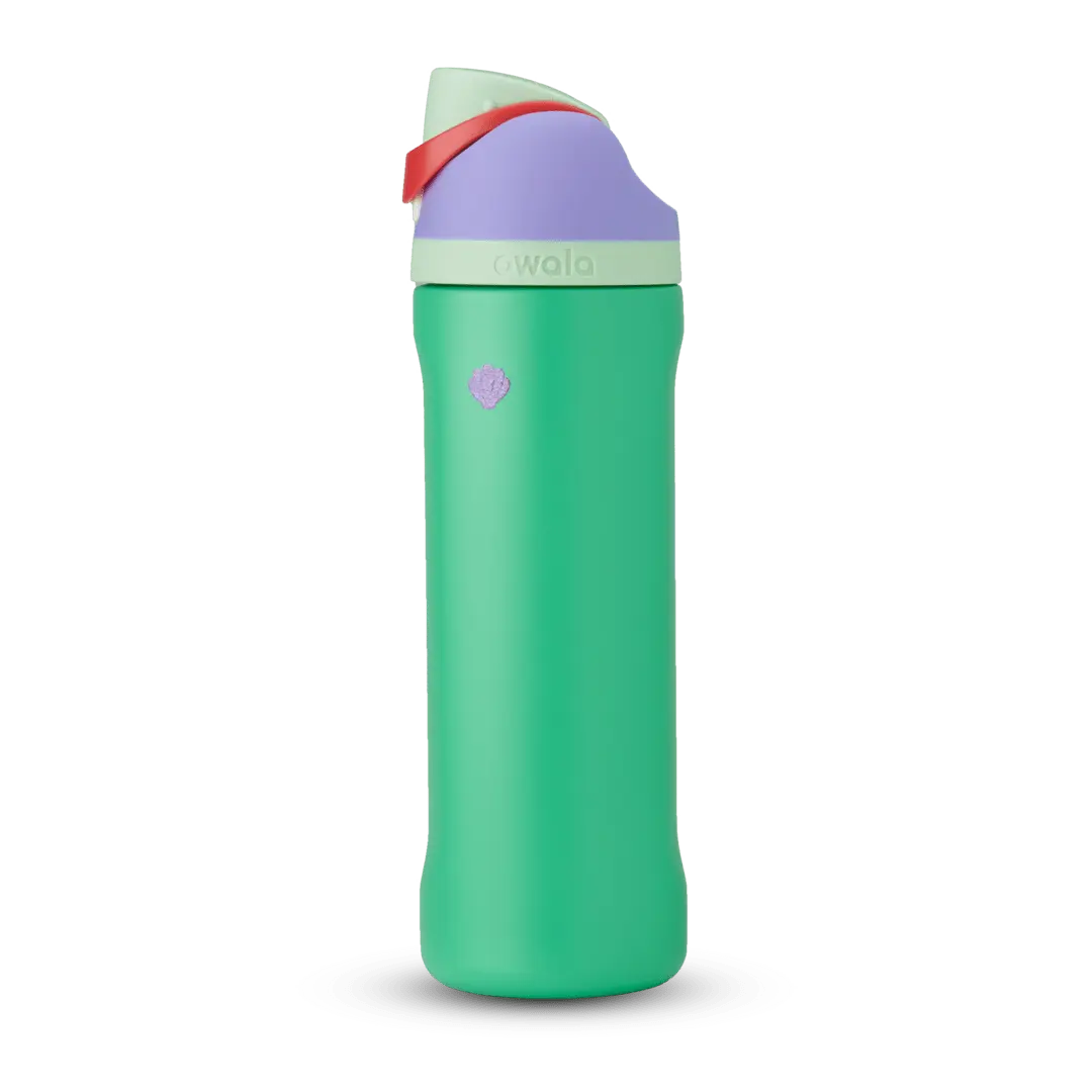 Disney Princess Collection owaloo